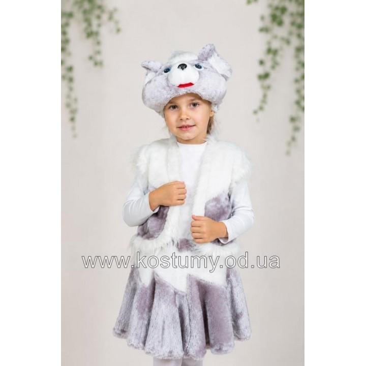 Мишка хутро, Мишка, костюм Мишки