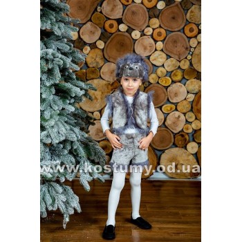 Їжачок, костюм Їжачка