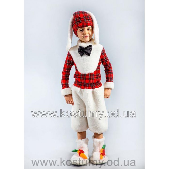  Заєць Різдвяний, Заєць, Зайчик, костюм Зайця, костюм Зайчика