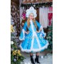 Зима, дорослий костюм Зими костюм Зими дорослий, жіночий костюм Зими, костюм Зими, розмір S-M
