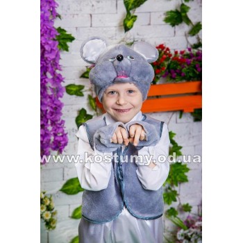  Мишеня, Мишка, костюм Мишеняти, костюм Мишки для хлопчиків